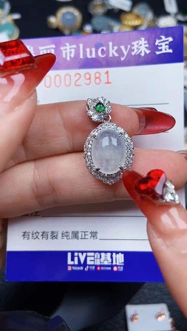 【闪购商品】翡翠颈饰银S925镶嵌2981