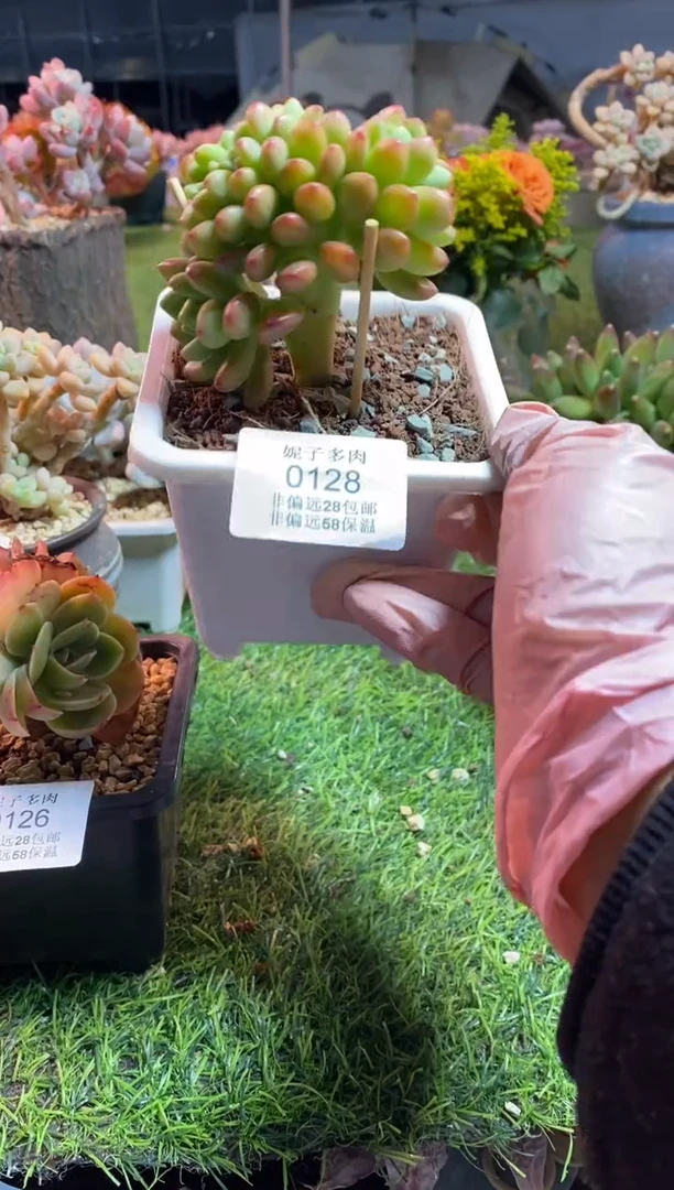 【闪购商品】0128a