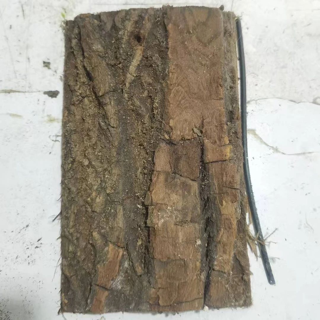 石斛种植木板种植工具