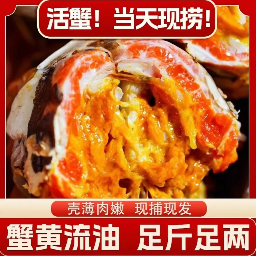 【活蟹】4苏州大闸蟹 5.0-4.7两公3只 4.0-3.7两母3只 送两只 共8只
