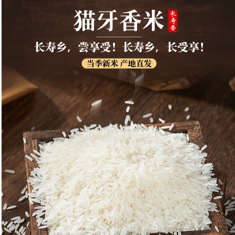 广西正宗猫牙米精品新鲜软糯10斤装长粒香米
