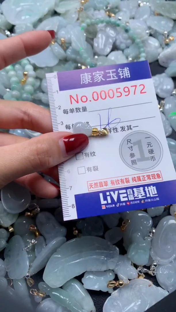 颈饰未镶嵌翡翠5972