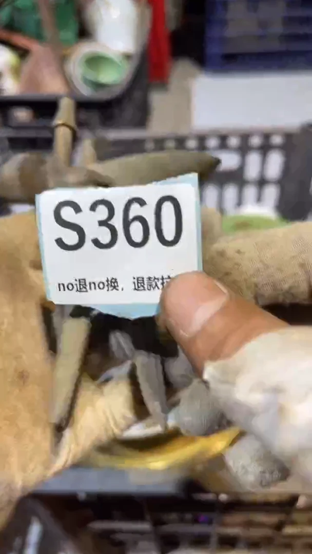 陶瓷诚*燕博火爆火爆热卖热卖