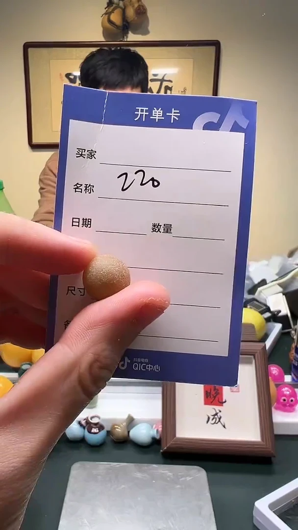 【闪购商品】菩提根/象牙果把件菩提根 单株一颗