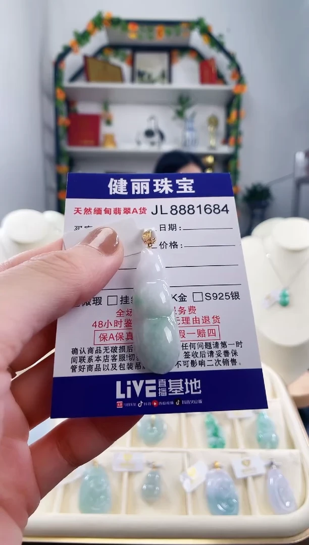 翡翠18K金镶嵌颈饰天然缅甸翡翠 富贵豆(一物一证)+银链