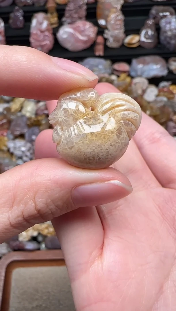 颈饰未镶嵌硅化珊瑚（珊瑚玉）828