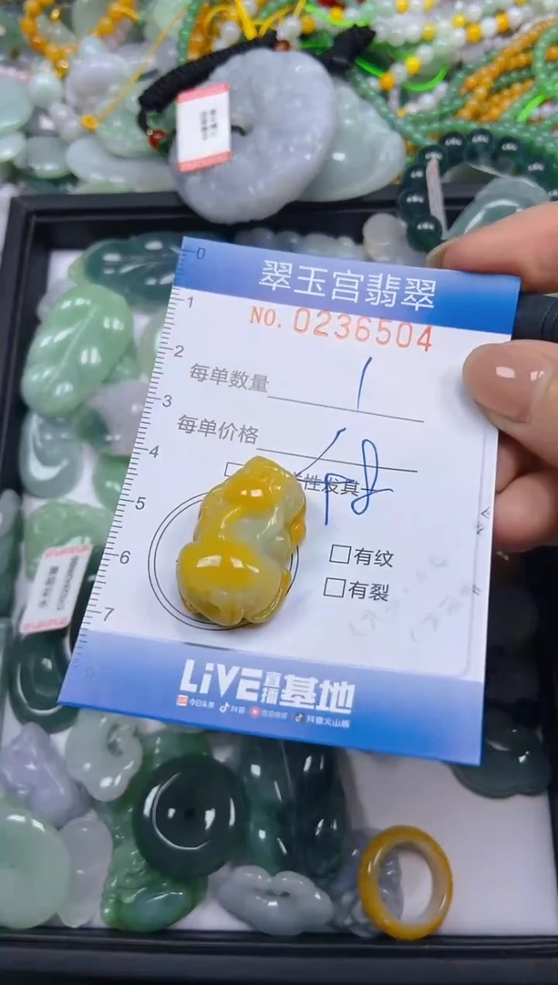 颈饰未镶嵌翡翠闪购C0236504