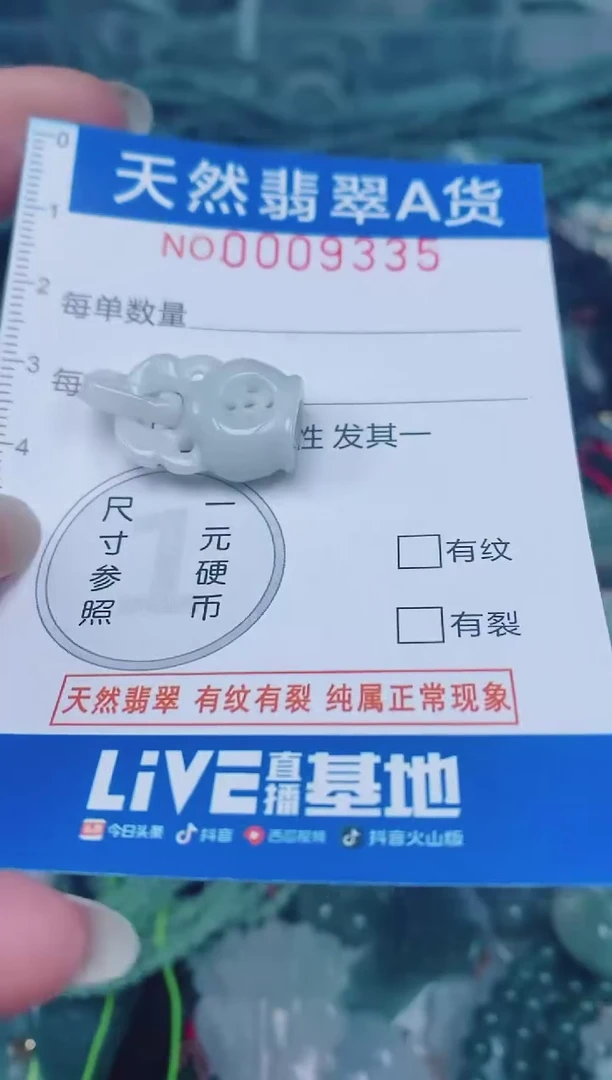 颈饰未镶嵌翡翠00009335