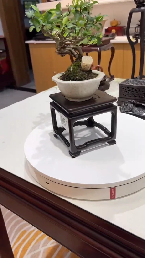 1紫砂紫砂紫砂紫砂紫砂