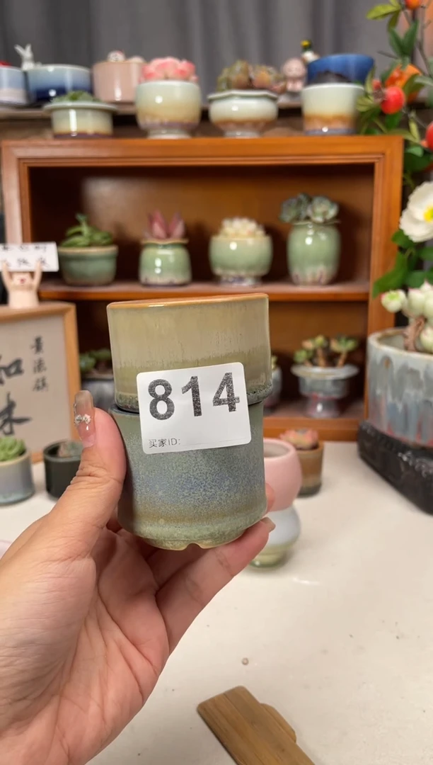瓷片樂**?814知木小芳花盆
