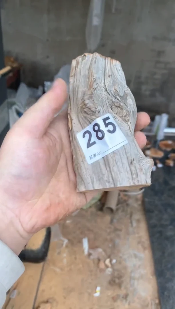 【闪购商品】柏木太行陈化崖柏（津诚林）切片