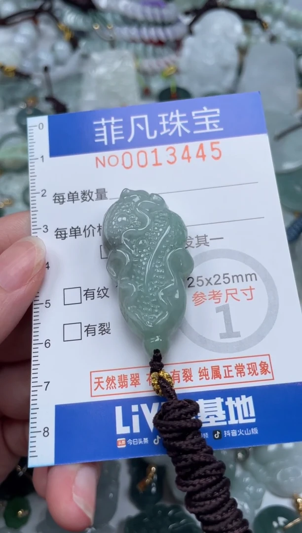 颈饰未镶嵌翡翠13445