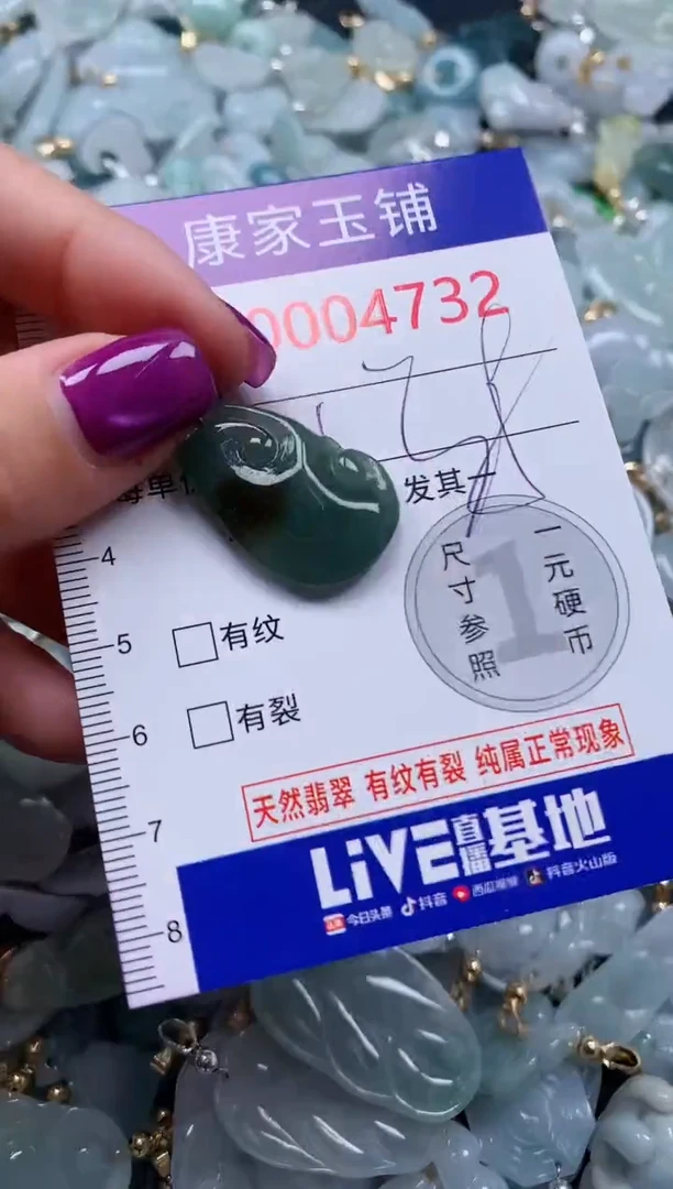颈饰未镶嵌翡翠4732