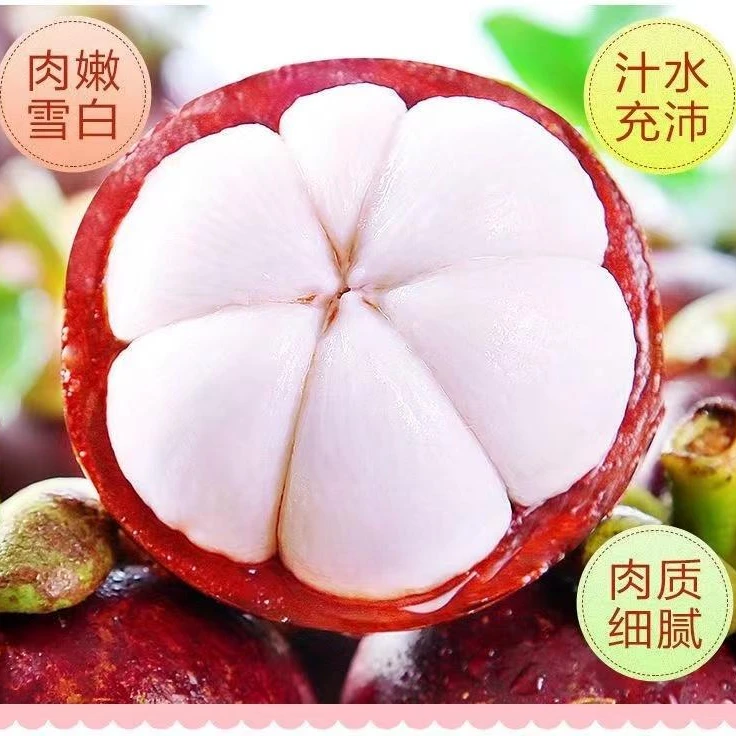 【散装】【4A东方红大山竹】(份/1.3.5斤左右)仅限京津冀可拍