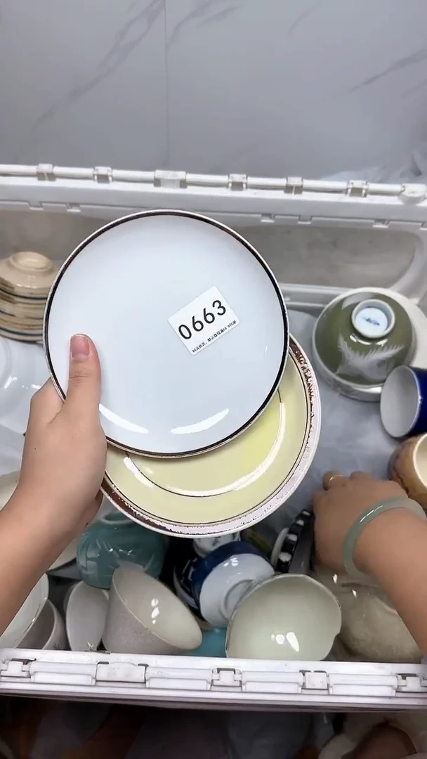 【闪购商品】663回流瓷器默认微瑕，18.8包邮