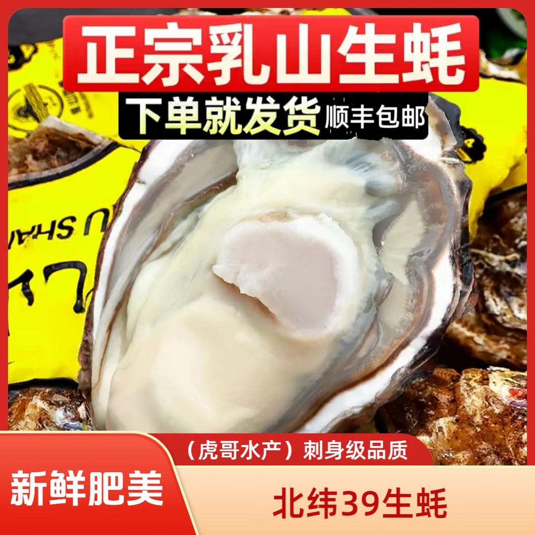 生蚝刺身级别北纬39度冷水生蚝5斤