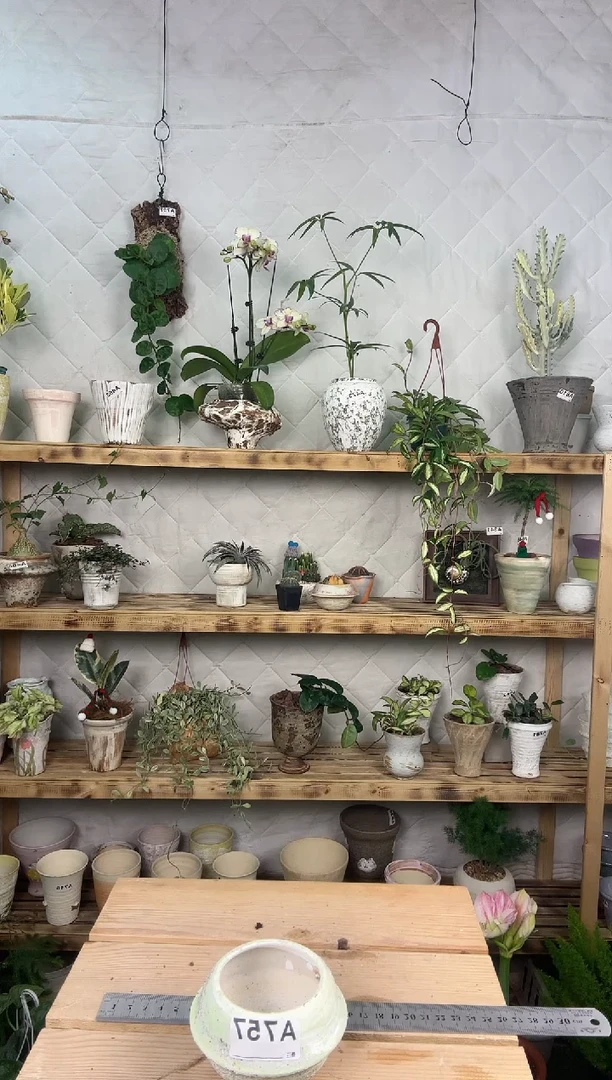 无花朵编号757景德镇花盆