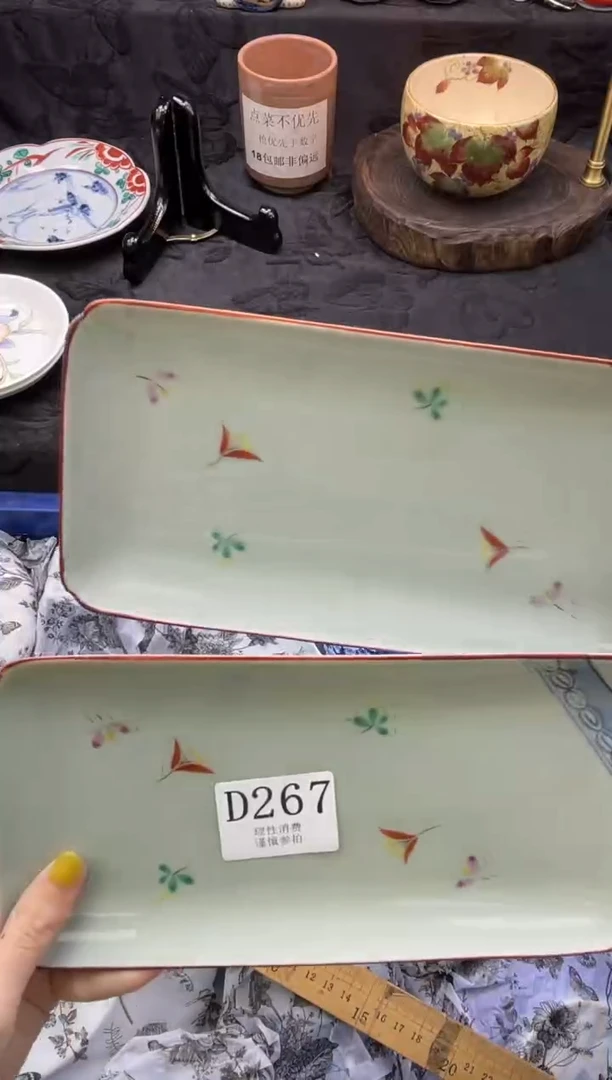 瓷片下****她       D267