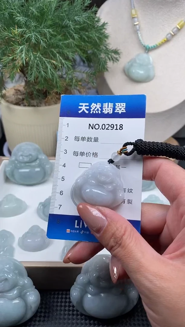 颈饰未镶嵌翡翠纯天然A货缅翡2918