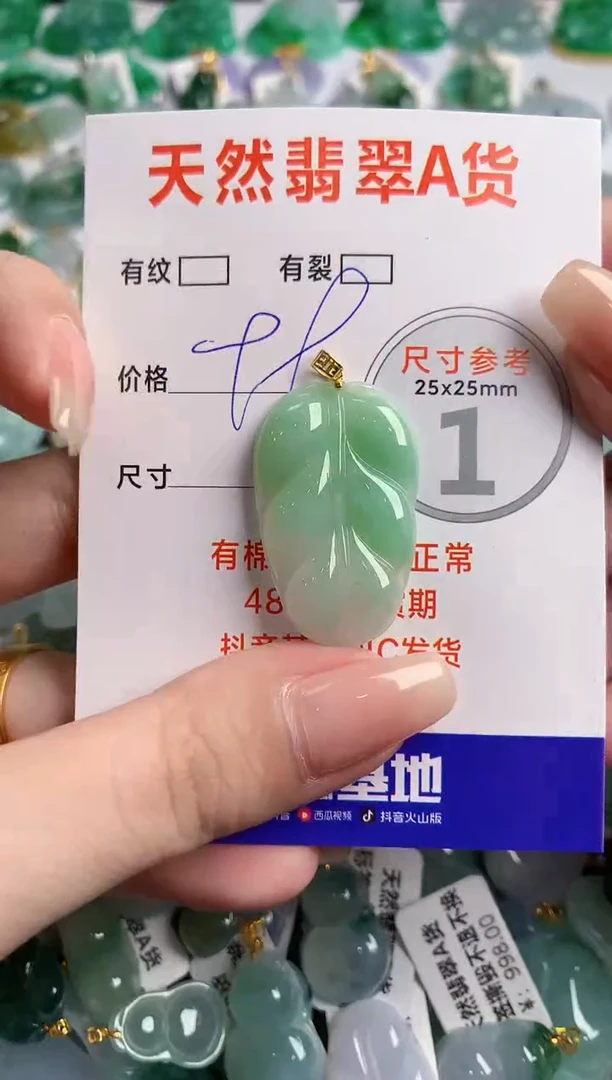 翡翠18K金镶嵌颈饰23000309