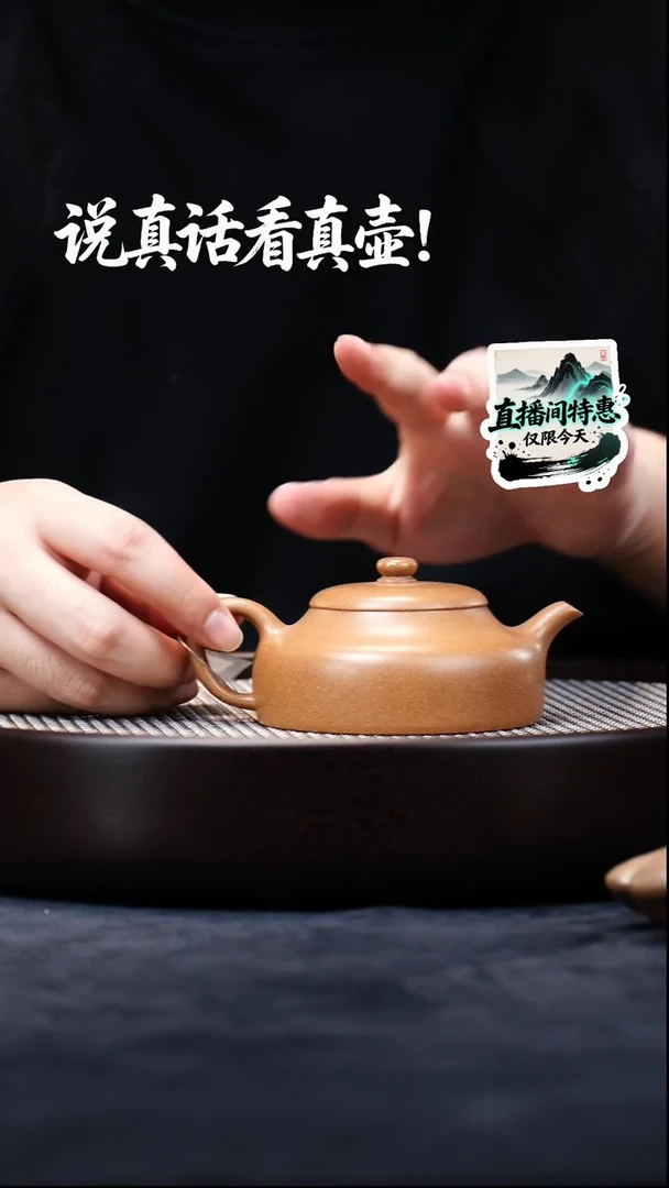 茶壶紫砂茶壶017