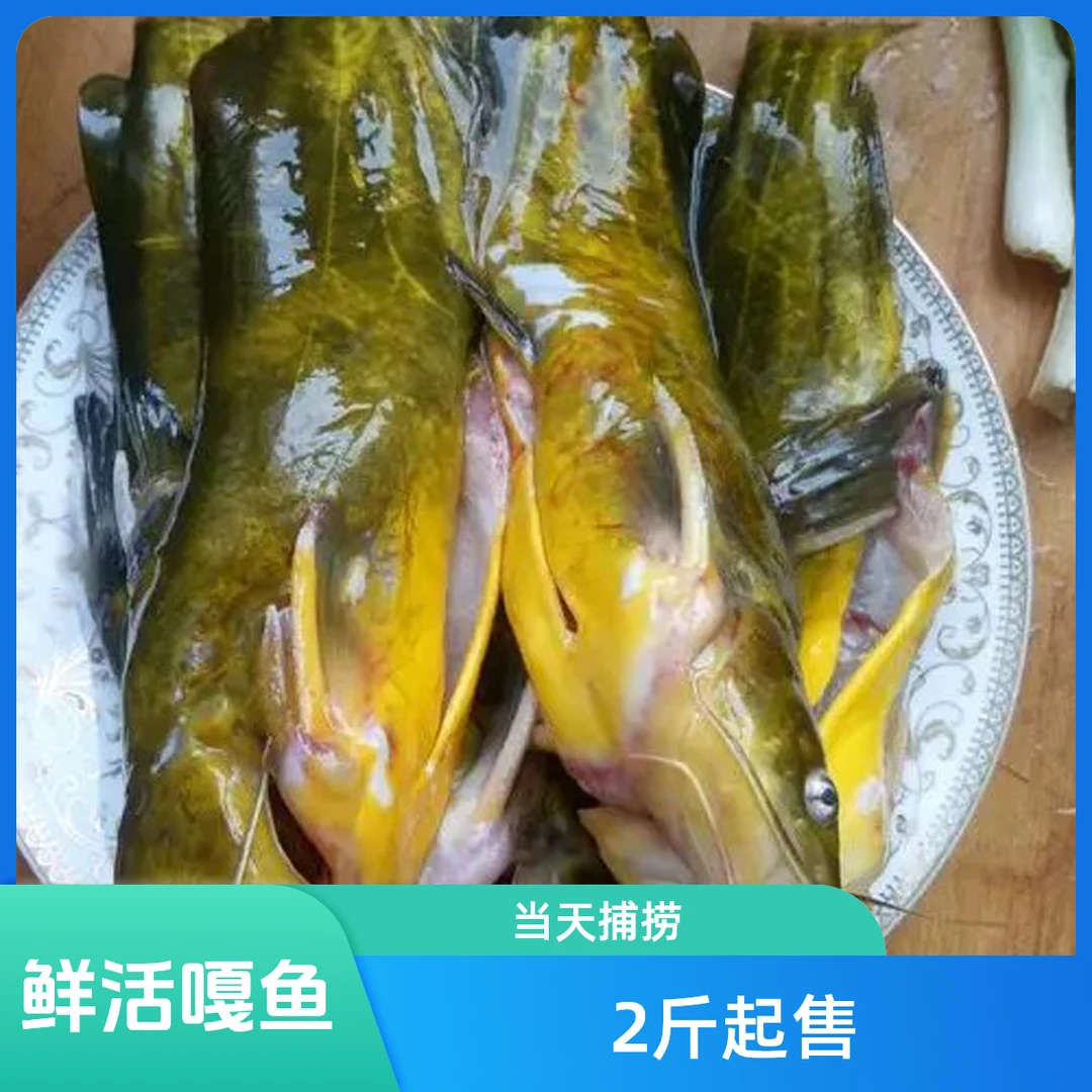 【海尚百鲜水产】嘎鱼（2斤）收拾备注