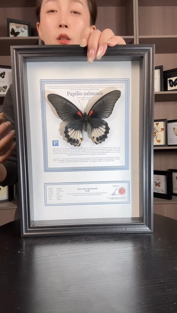 实木竖款美凤蝶（蝴蝶装饰画A4框）