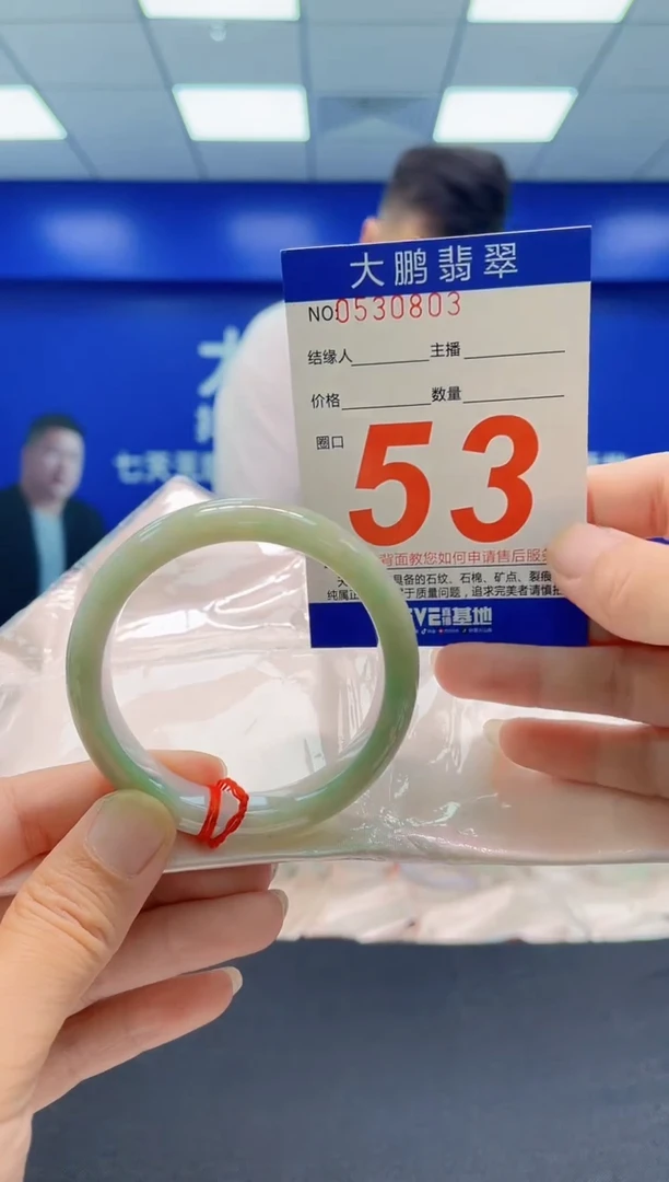 未镶嵌手镯翡翠AAAAAAAAA
