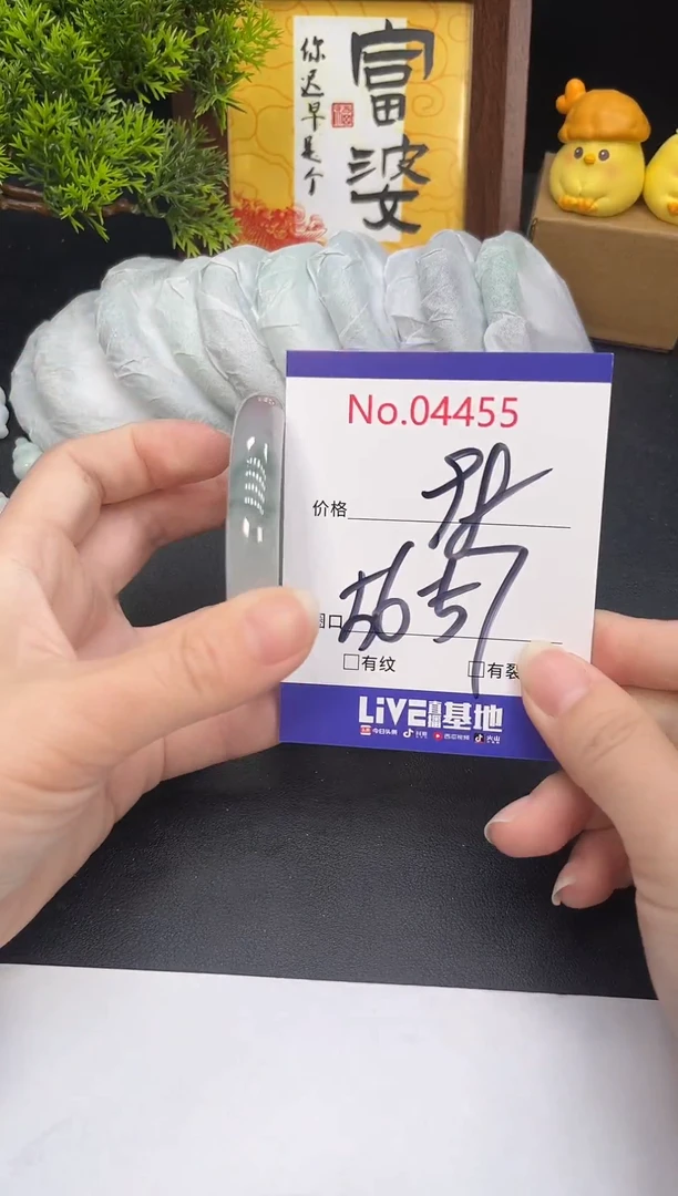 未镶嵌手镯翡翠4455