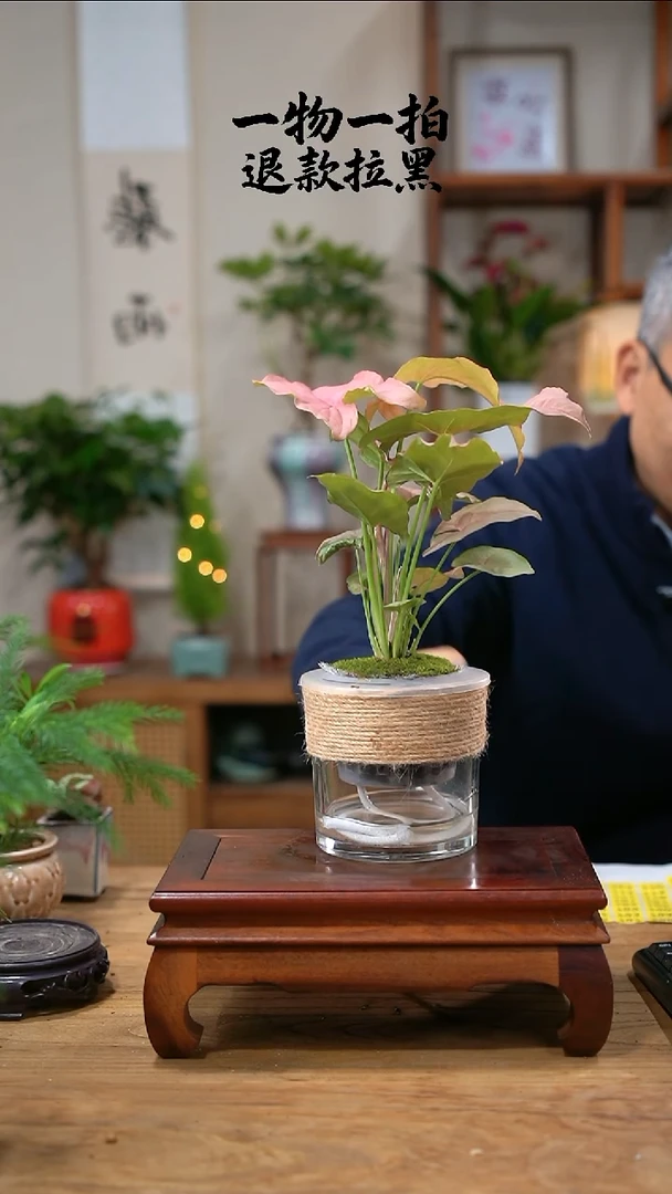 完全开放໑****꧔红粉763