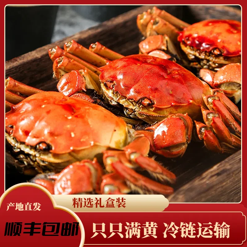 【活蟹8送1共9只】1.9-2.2两全母蟹江苏苏州精品河蟹京东航空冷链