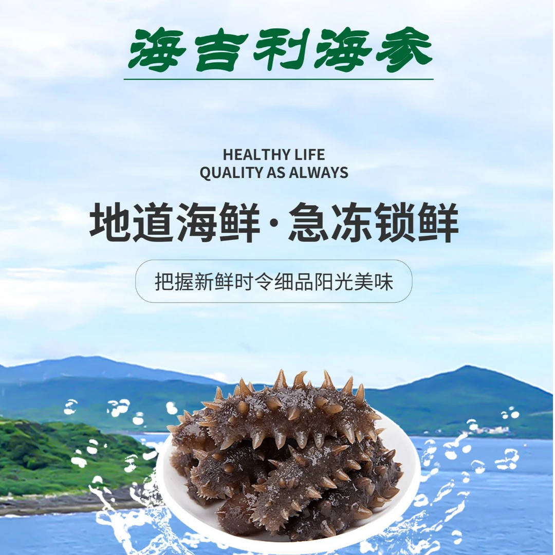 【官方补贴】海鲜食海参10-12头/1斤