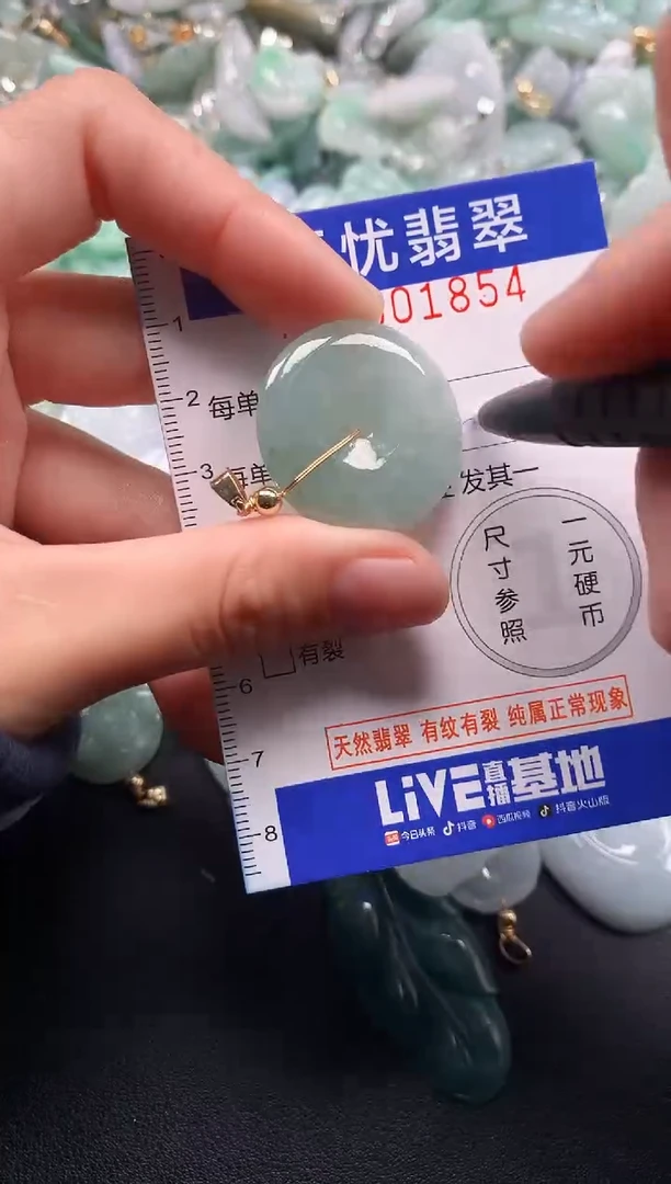 颈饰未镶嵌翡翠1854