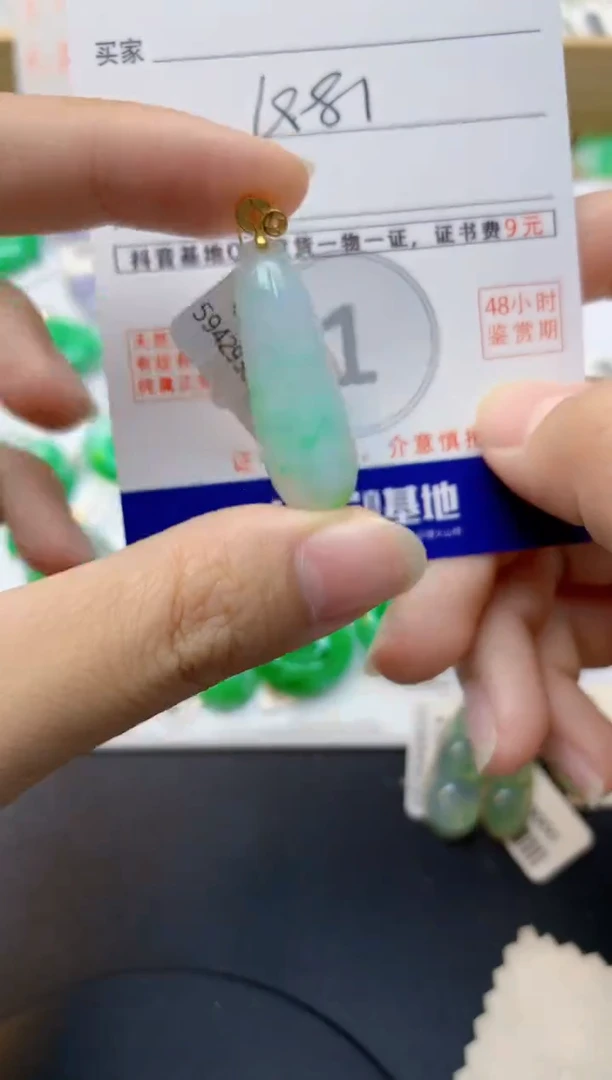 颈饰未镶嵌翡翠天然缅甸A货翡翠