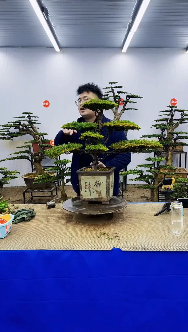 完全开放飞**达一物一拍，所见即所得