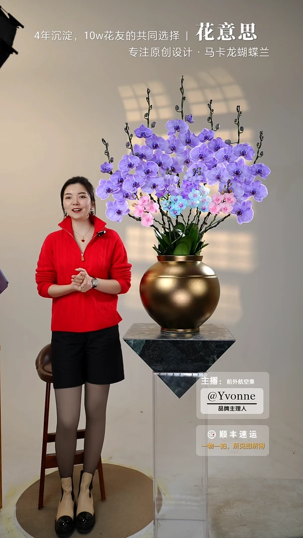 全部花朵001欣欣向荣/一物一拍蝴蝶兰艺术盆景