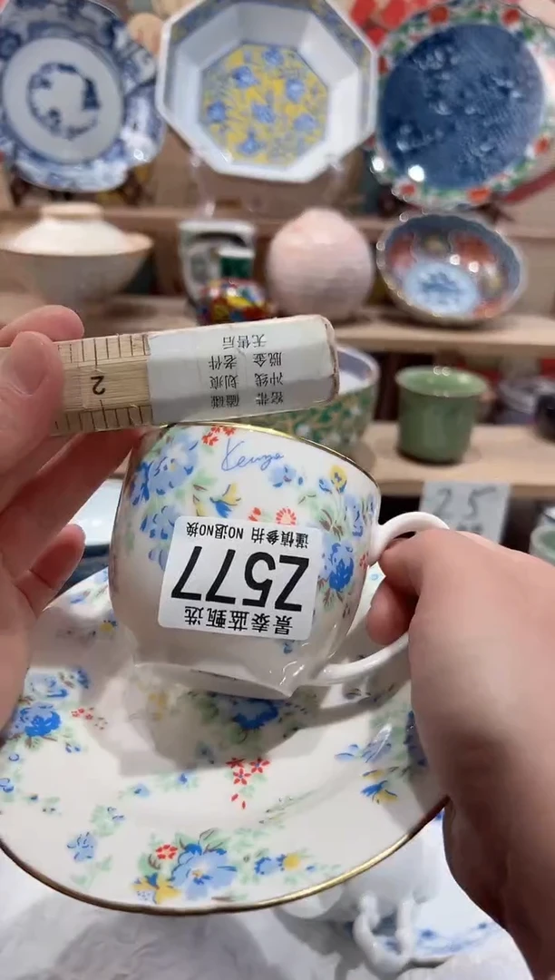 【闪购商品】瓷片当天凑满25米包邮Z577