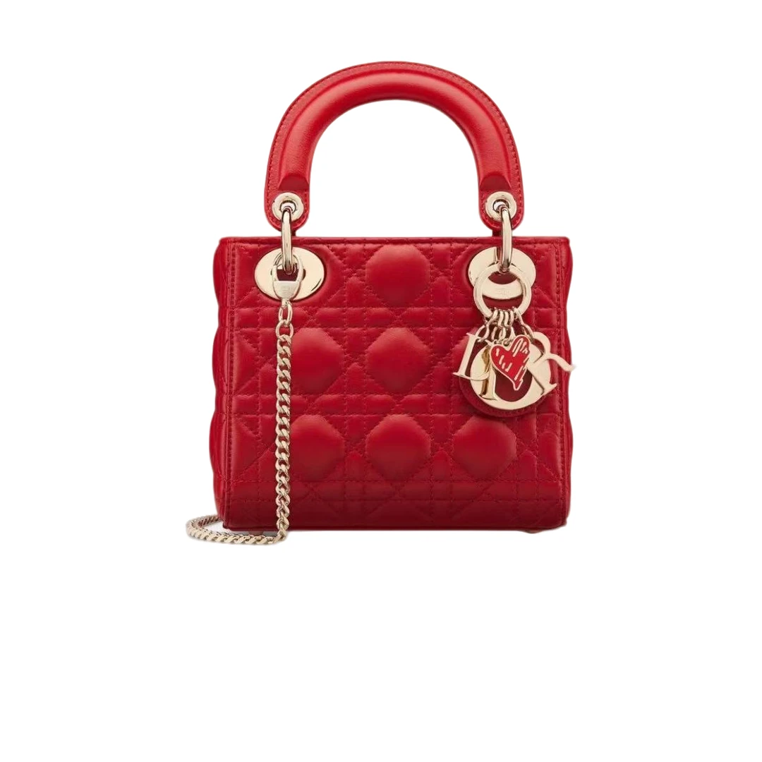 99新 DIOR/迪奥 安洁利严选戴妃包/0016460