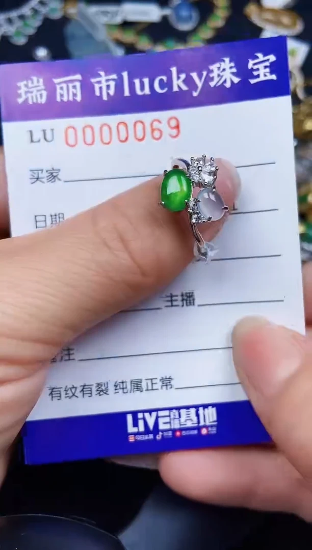 翡翠银S925镶嵌颈饰0069