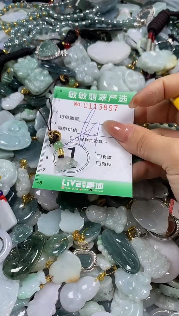 【闪购商品】翡翠颈饰未镶嵌闪购0113897多样性发其一