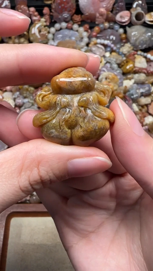 颈饰未镶嵌硅化珊瑚（珊瑚玉）282
