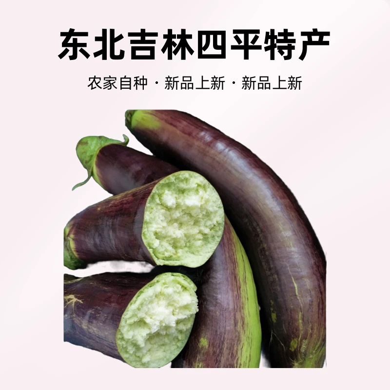 东北吉林四平面包茄子花茄子现摘现发新鲜到家不抛光不打蜡