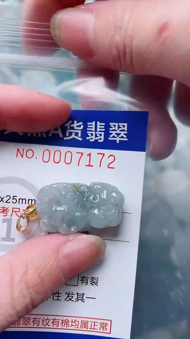 翡翠未镶嵌吊坠(赠链)1