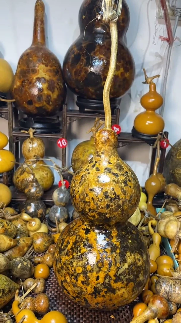 【闪购商品】葫芦葫芦葫芦葫芦