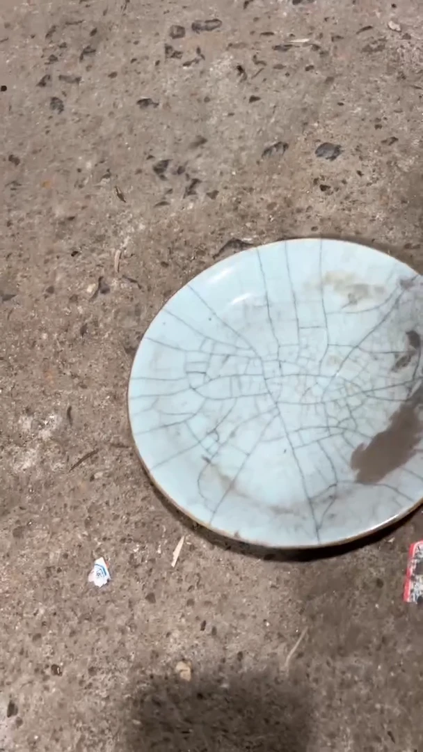 【闪购商品】55656566565644645