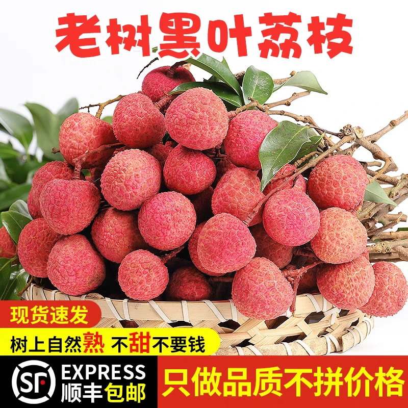 【顺丰冷链速发】福建黑叶荔枝 顺丰包邮农家老树荔枝当季新鲜水果