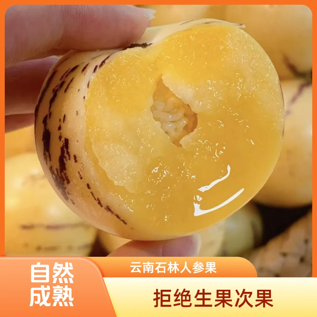 云南石林风化石土地树上熟果圆果黄肉清甜多汁新鲜