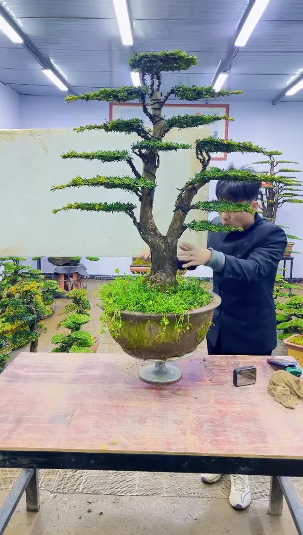 【闪购商品】一物一拍，所见即所得