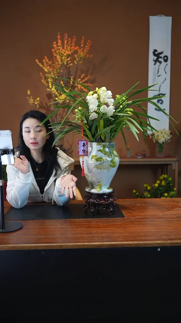 全部花朵玉兔盆景盆景盆景