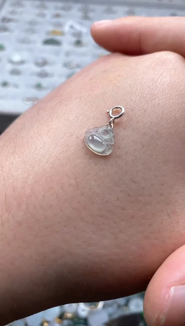 【闪购商品】翡翠颈饰未镶嵌新年快乐！